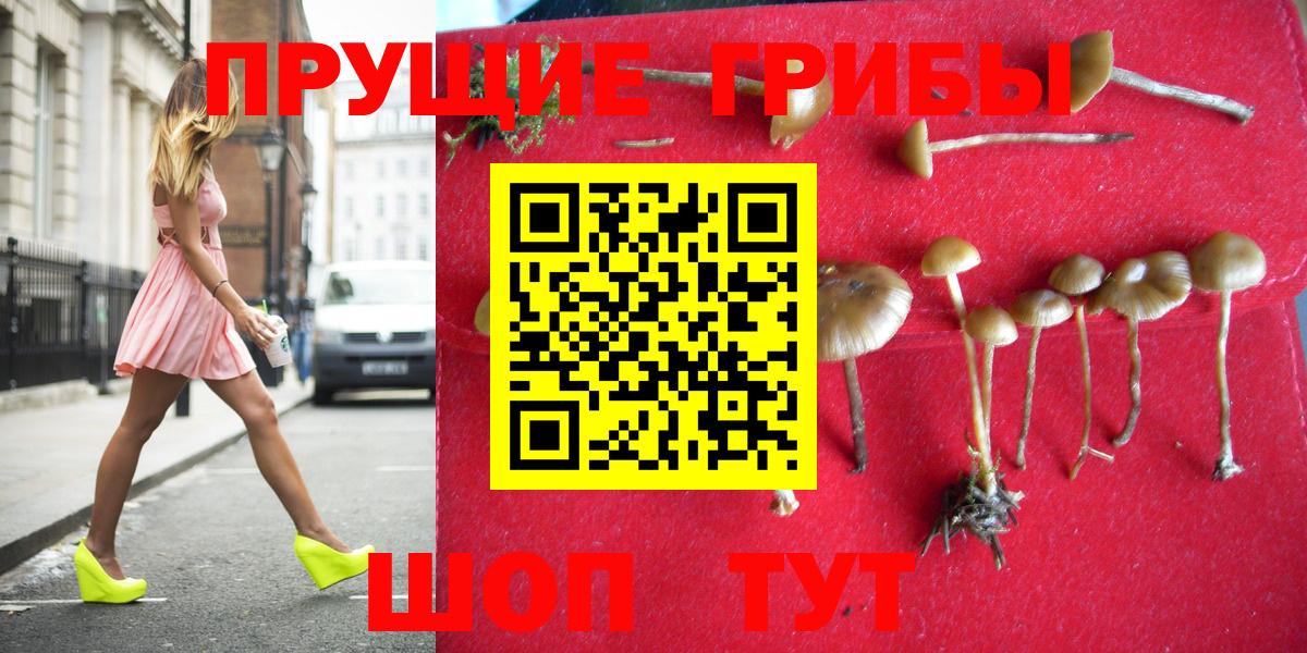 Галлюциногенные грибы ЛСД Октябрьский