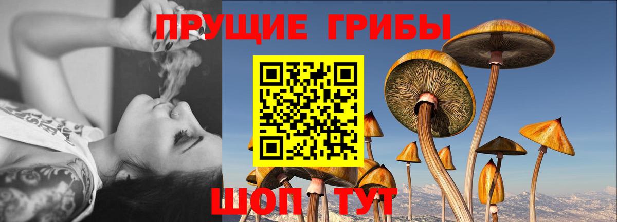 Октябрьский  Псилоцибиновые грибы Psilocybe  Вход с VPN 